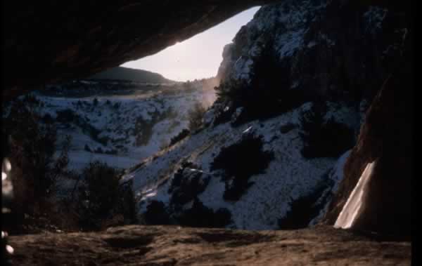 Buffalo Emergence: Figure 3