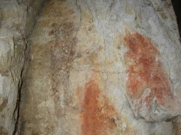 Buffalo Emergence: Figure 4