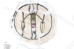 The shield figure known as zigzag man. In tests with a portable x-ray fluorescence instrument we learned the green pigment was from a mineral known as fucshite