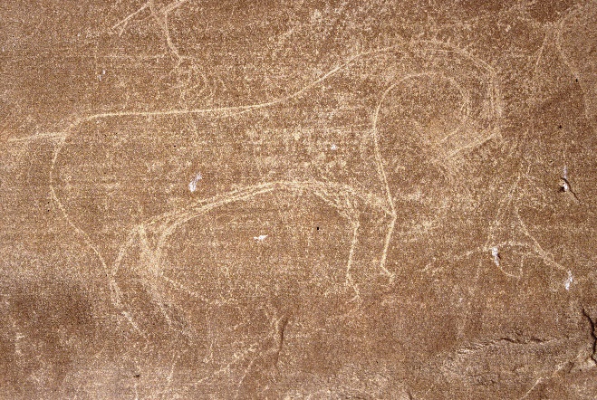Musselshell Site: Figure 2